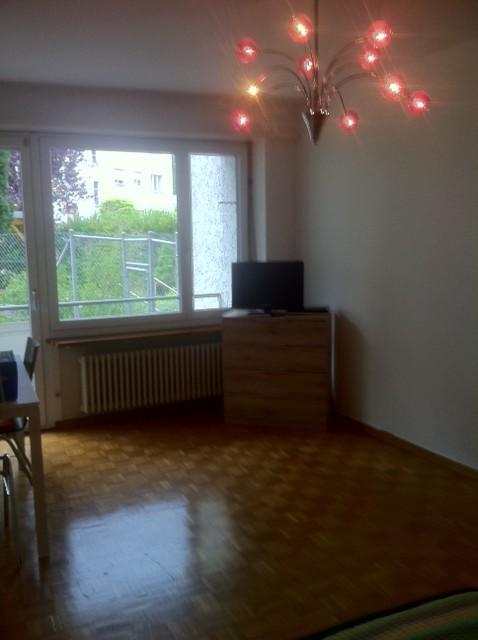 Rent A Home Tannwaldstrasse Ольтен Екстер'єр фото